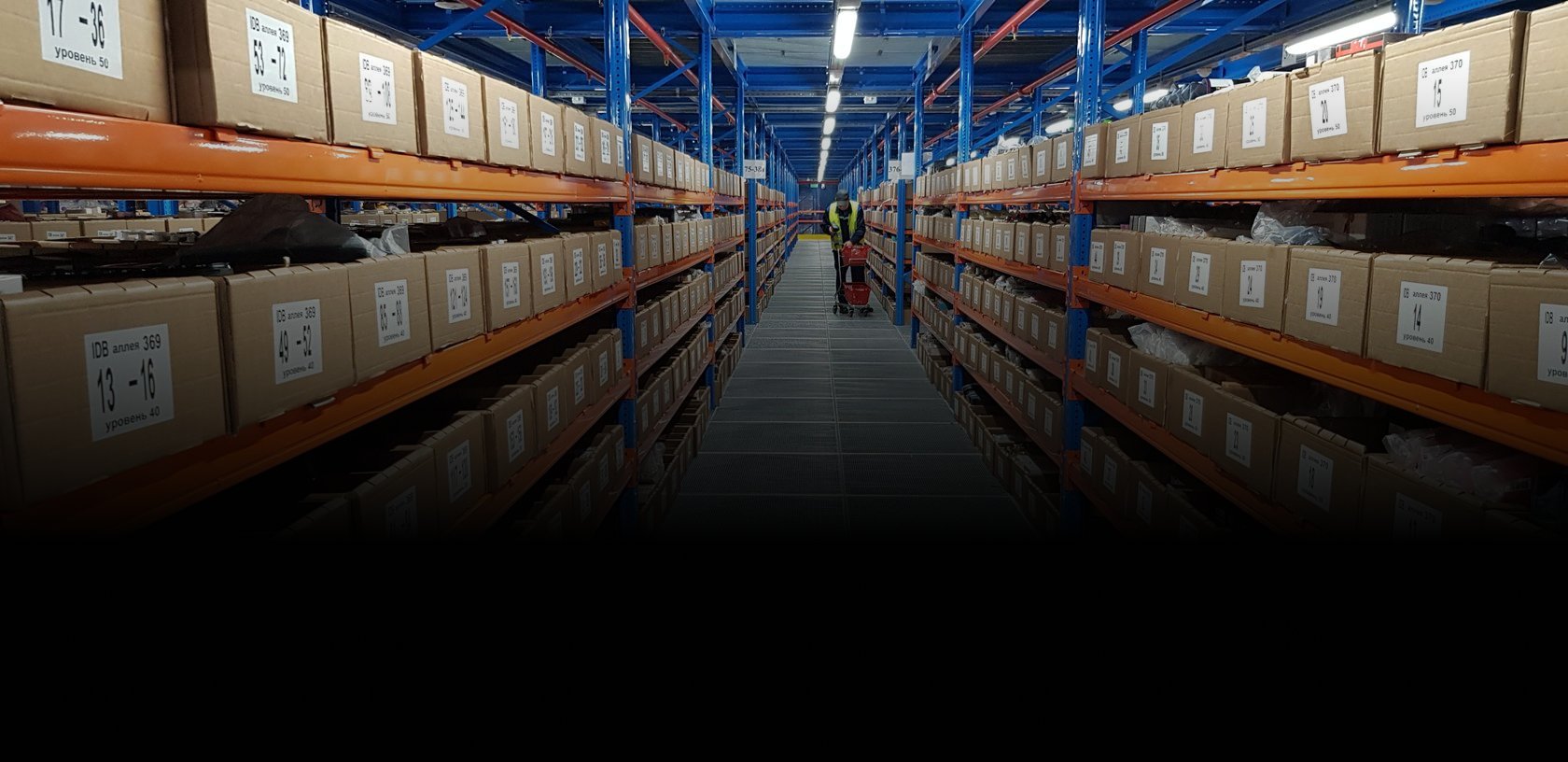 Помогли FM Logistic запустить услугу по маркировке товаров за 5 месяцев