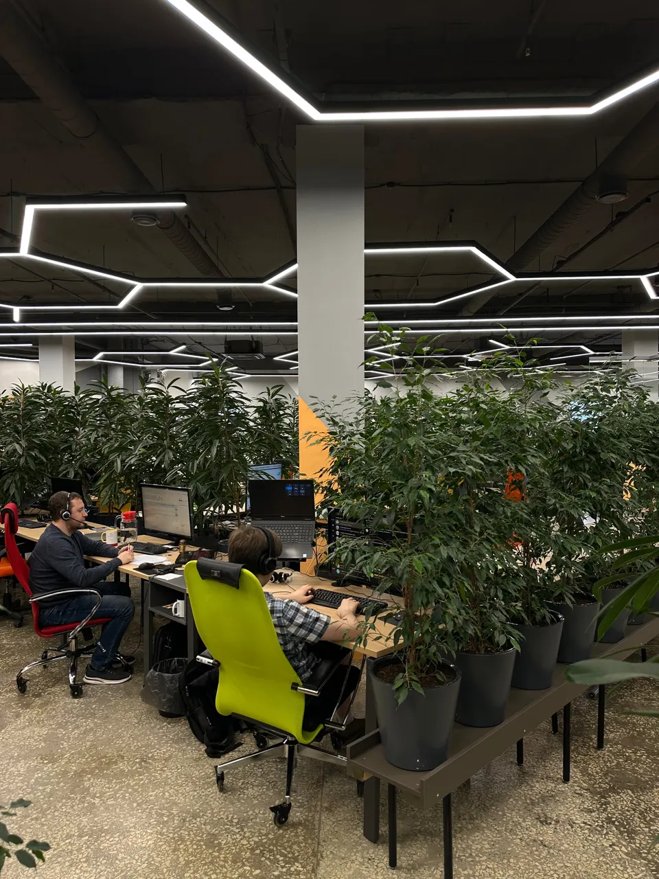 Сотрудники работают в зелёном открытом офисе KT.Team