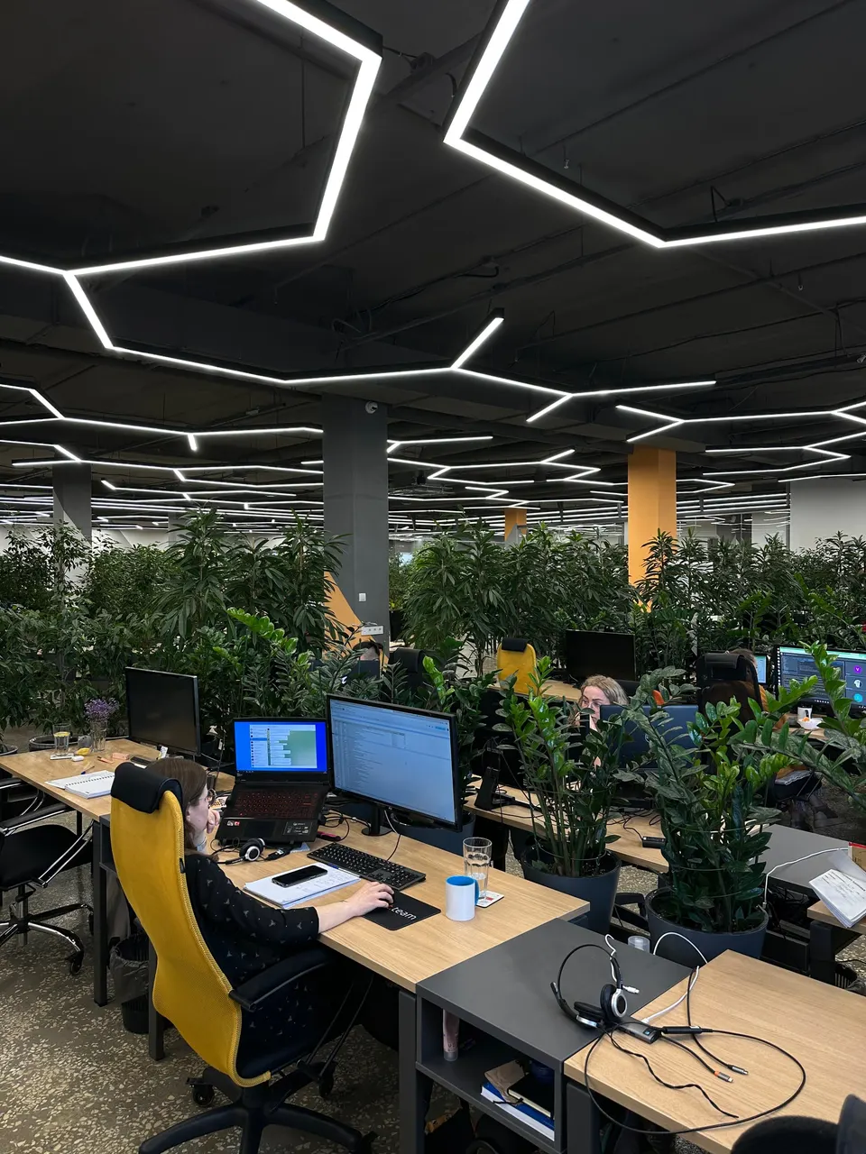 Рабочие места и команда в офисе KT.Team